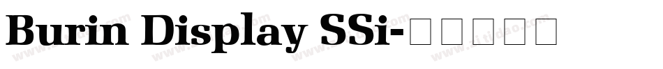 Burin Display SSi字体转换